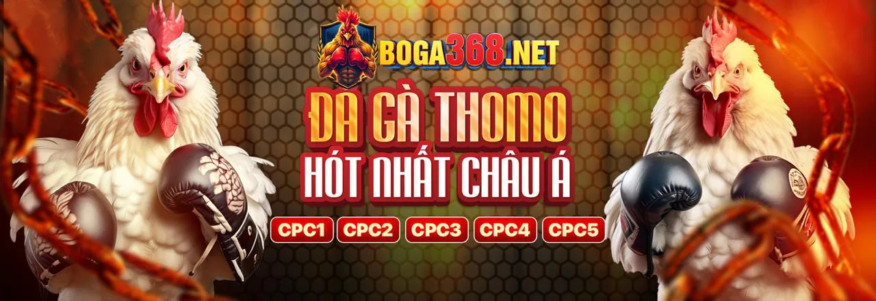 Sân vận động với không khí cá cược thể thao sôi động tại luck8 chính thức